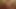 803164.mp4