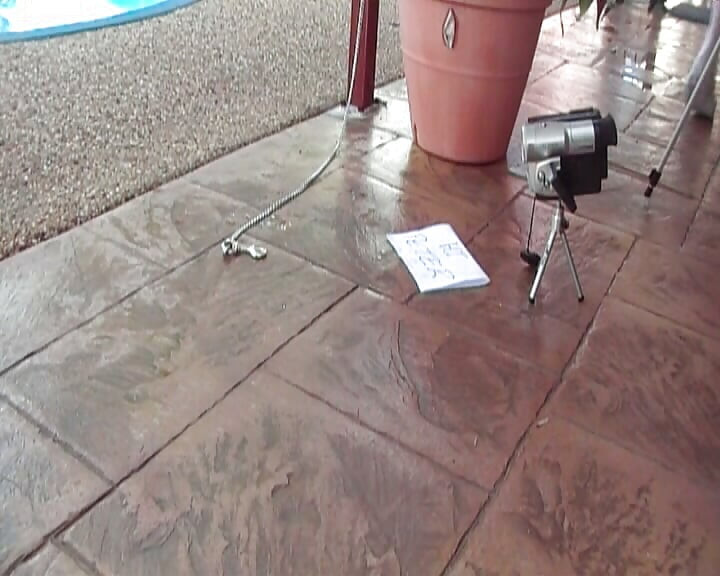 SHELLEY WHORE VIDEO CAM 1