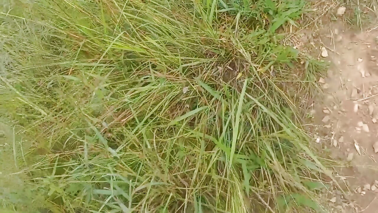 Nepali Open Outdoor Soltni Doggy Styal Sex Video