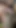 horoz üzerinde öğürme (sadecefans teaser)