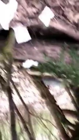 Step Dad smells a dick in the wood