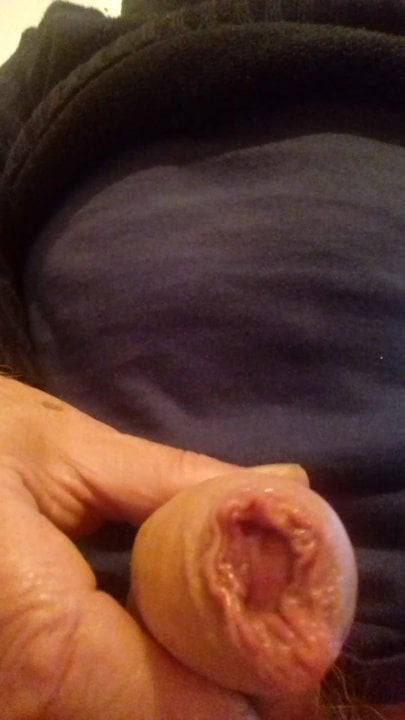 Katkins xhamster.com