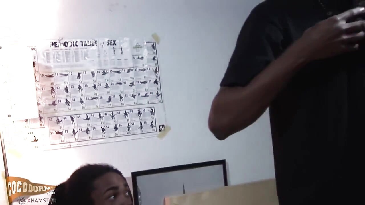 Domino Star, Melsogifted, Mikeal Race and Taz