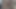 sadakatsiz üvey erkek kardeşler