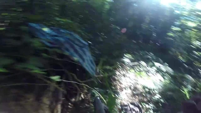 Forest Solo