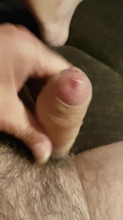 Is it fun
