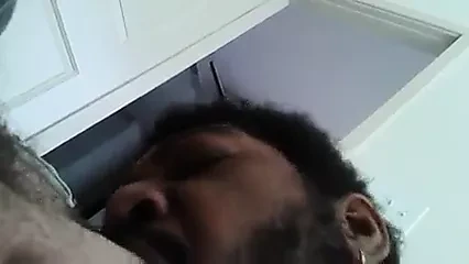 Married Black Bear Suck Hard White Dick