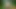 Walking naked in the woods. Soft foreskin to hard big cock