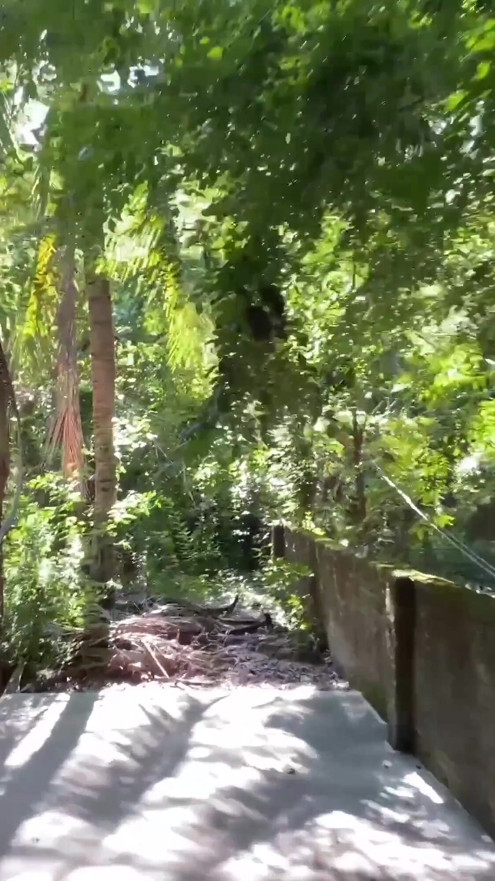 Summer Diving Day