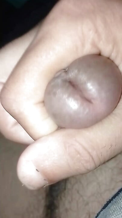 The head of the cock is thick.