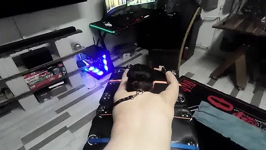 Slave Training From My Master's Point of View