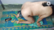 Pregled videozapisa