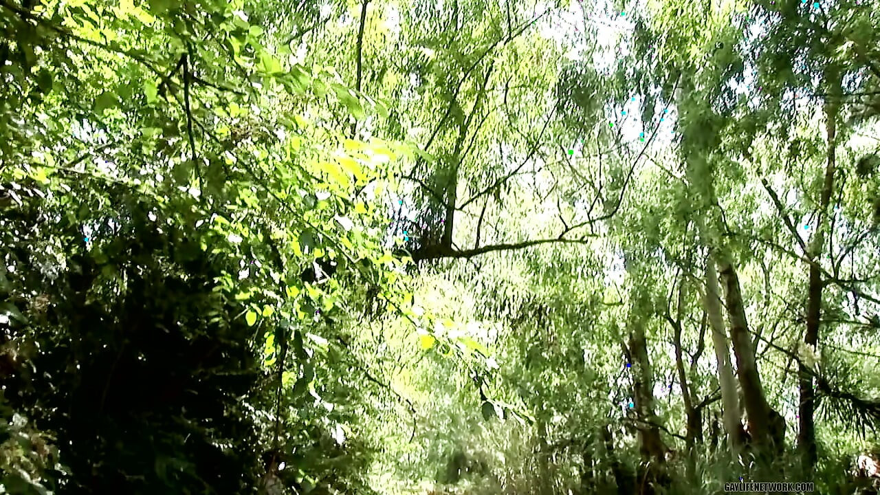 Futai excitat în pădure