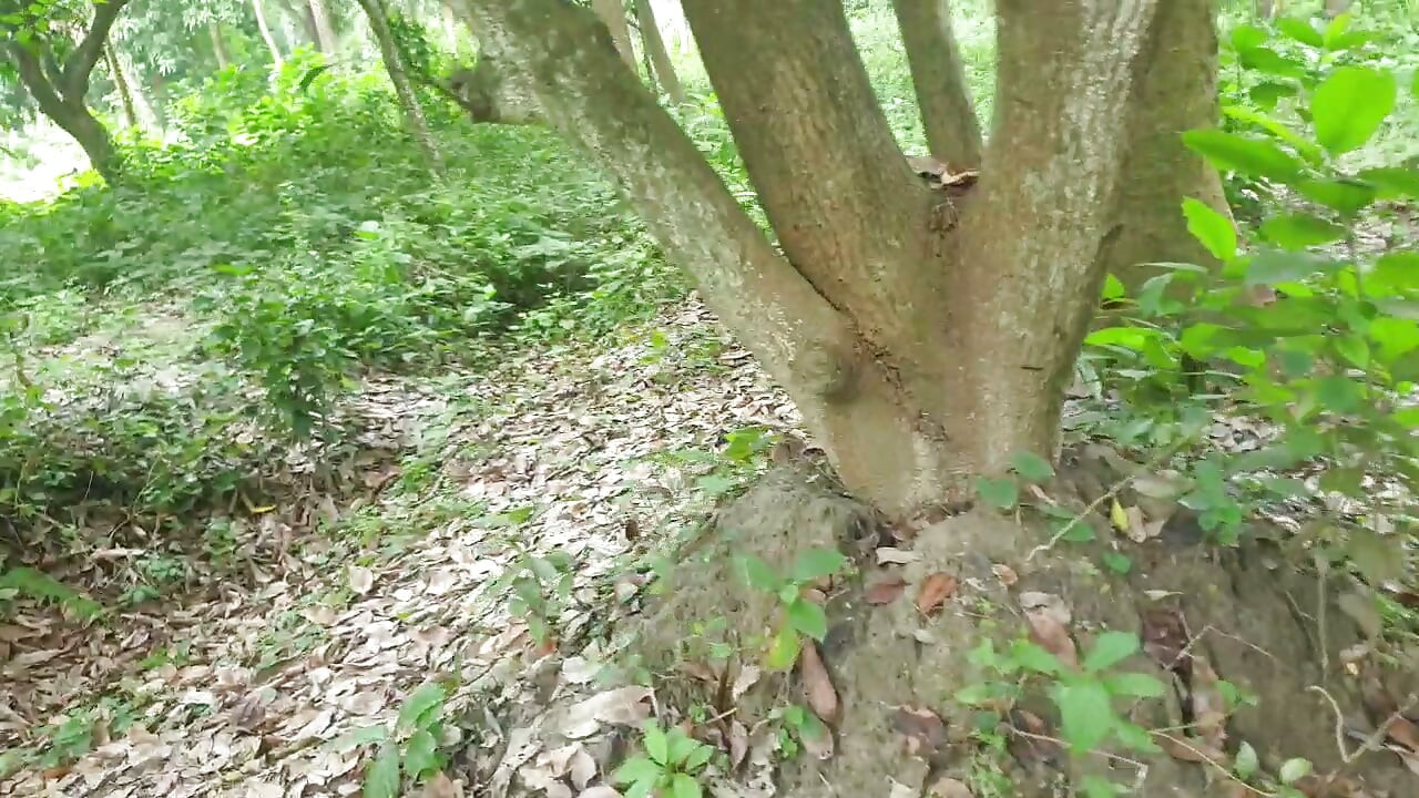 狠狠地操那个变性人