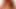 Marie Mccray and Lily Cade and Elle Alexandra are redheads