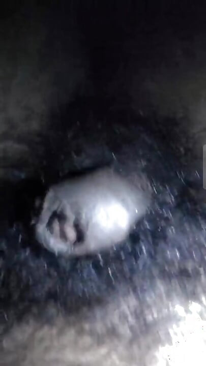 My dick is hungry for pussy and asshole