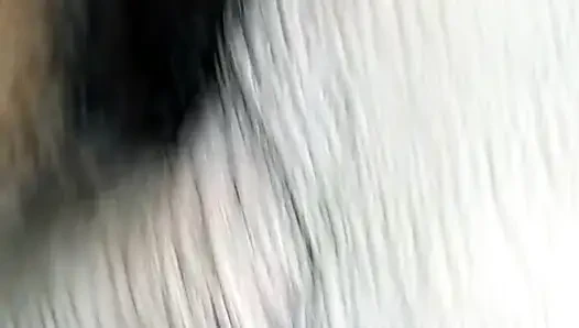 Hot Delhi college girl fucked boyfriend in girl hostel