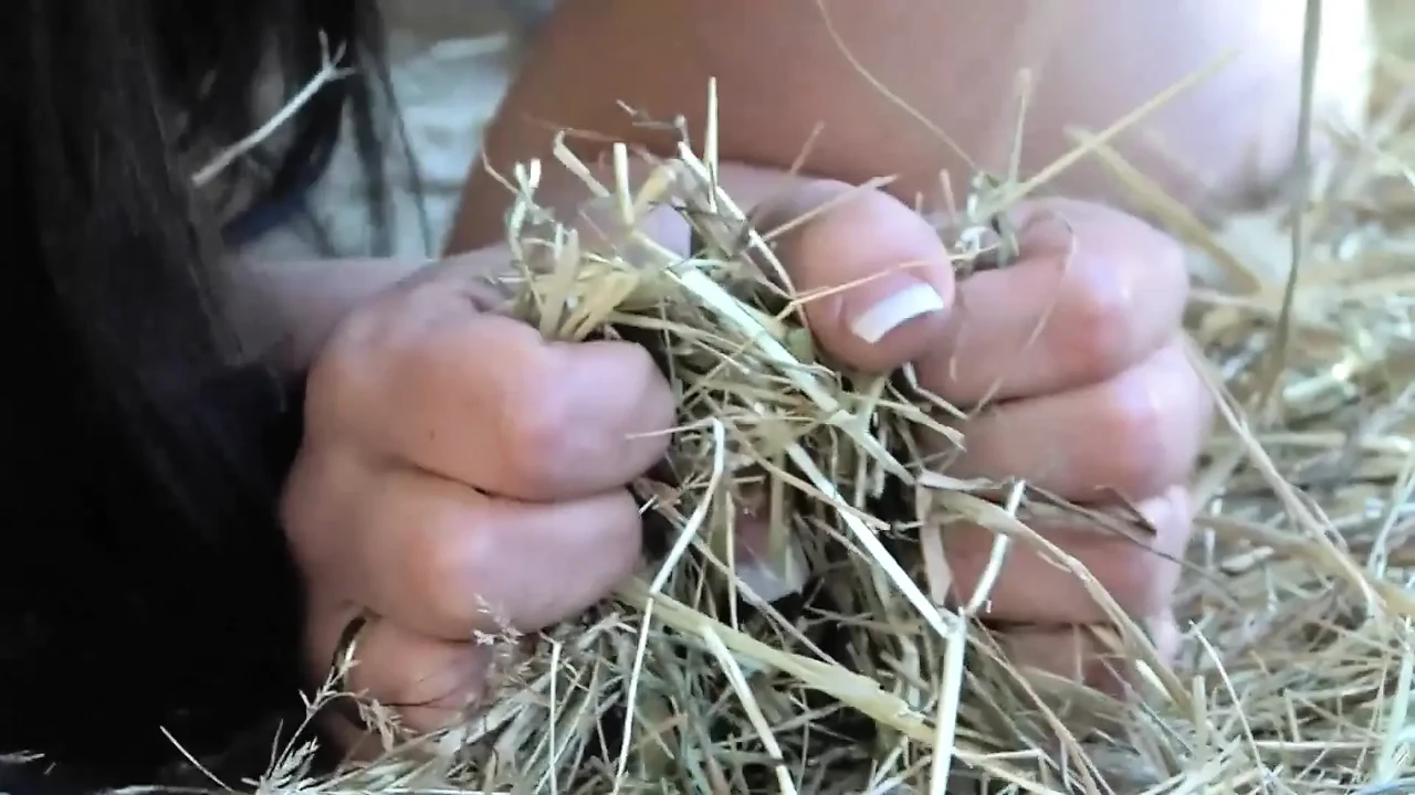 Brunette fucking redneck on hay