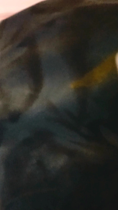 Csak egy kis kötekedés