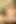 Rachel Aziani ateşli titreyerek orgazm olmak için klitoris pompasını kullanıyor