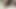 Trans Women Fucking Doggystyle Close Up