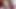Ladyboy Tyra Cute Bunny (Fast Wank Series #4 - HUMBLE Edit)