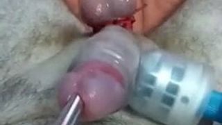 sounding cumshot with tied balls