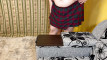 Pregled videozapisa