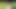 Xxx hot Indian desi girlfriend ko outdoor park me bulakar muhe me choda clear dirty audio me 18 yers girlfriend fuck in mouth