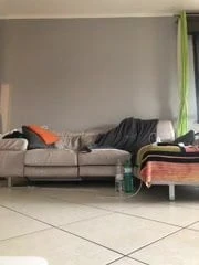 Dildo
