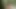 Forbidden sex with stepsister in the forest. Secretly fucked and shamelessly cummed inside