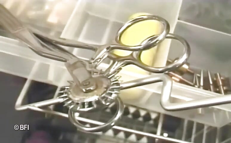 Virgin bondage 5 - DVD