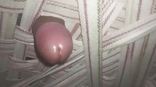Bhabhi Ki Titi Gand Mein Mere Mota Land