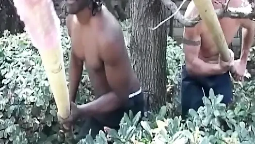 Tante seksi rambut cokelat ini dientot habis-habisan sama kontol raksasa pria kulit hitam dan mainan seks ukuran raksasa