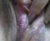fountain of pussy