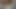 My neighbor makes me horny with her pussy