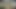 Sarada eğitimi (kamos.patreon) - hentai kızlarının bölüm 41 haremi loveskysan69'a bekliyor