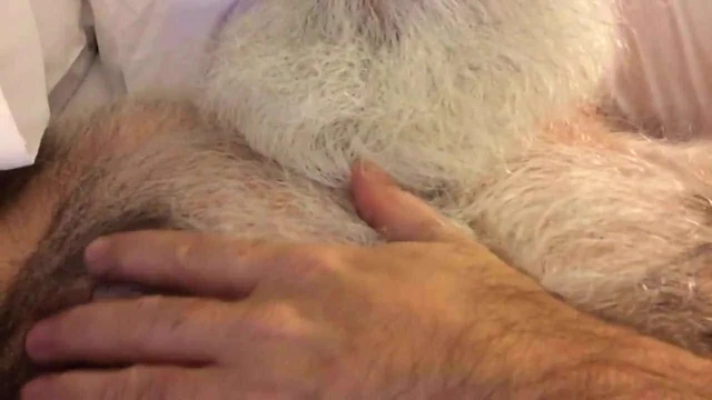 Hairy white bearded gay bear