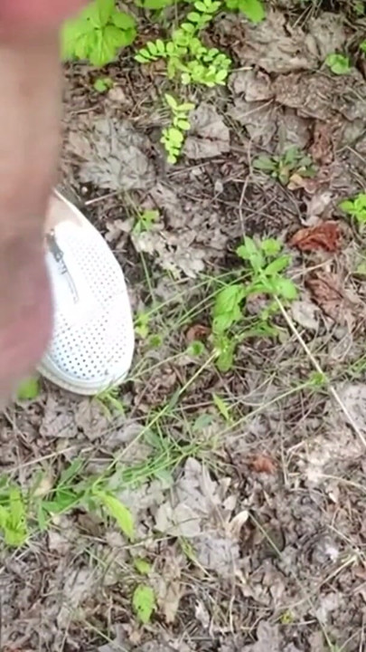 A friend sucks my dick in a public park and swallows cum | Clip 1