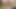 me anal toying big dildo in ass in panties and lingerie