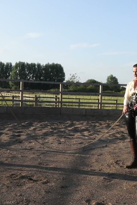 Trotting to Submission