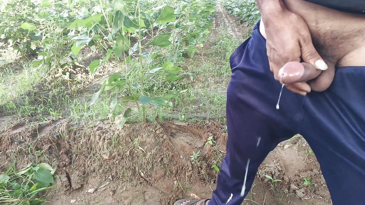 Barish ke Mausam mein payal bhabhi ki gand chudai ki