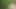 The elder daughter-in-law is writhing in the fields in the forest while cutting fodder, longing to get her ass fucked with her fingers in her pussy