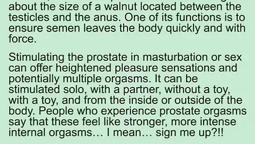 Prostate Orgasams Anal