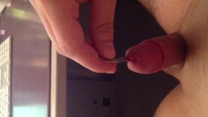 urethral insert
