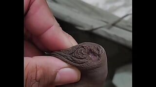Desi jerkoff Desi cock