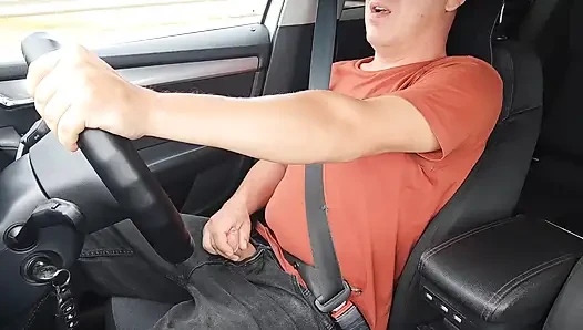 Huge in the car!! THE BEST