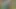 Büyük göğsümle yürüyüp mum yakıyorum