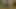 Chance meeting of an exhibitionist and a nymphomaniac in the forest -XSanyAny