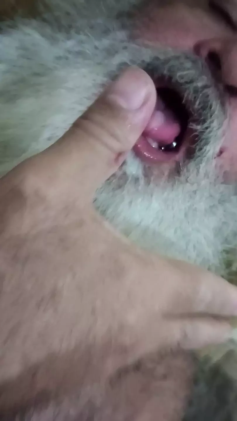 BIG BEARDED DADDY BEAR CUMMING QUITE A BIT LATER SWALLOWED